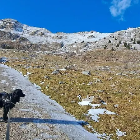 Apartma Humar Apartman