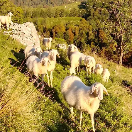 Apartma Humar Lejlighed Kobarid