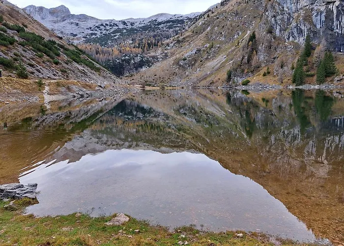 Apartma Humar * 코바리드