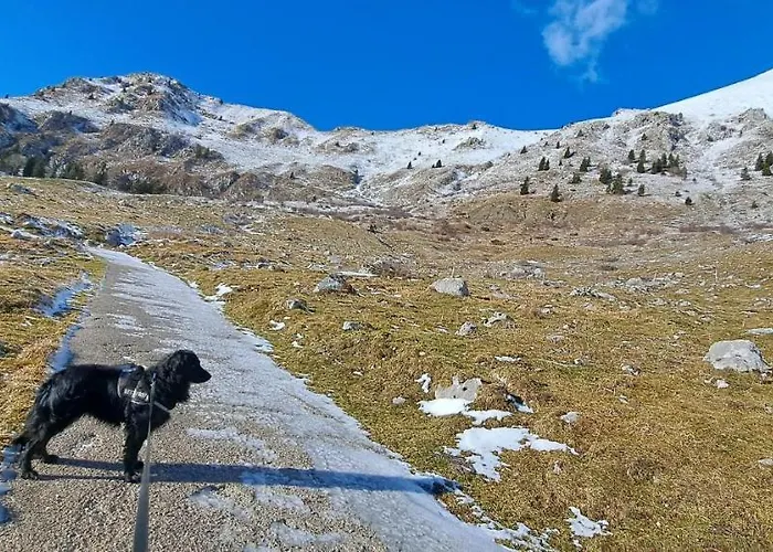 Apartma Humar 아파트