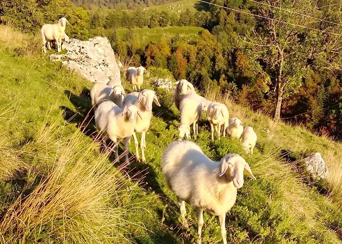 Apartma Humar 아파트 코바리드